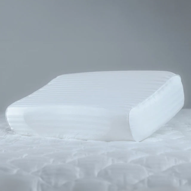 Spinaleze Premium Supportive Pillow
