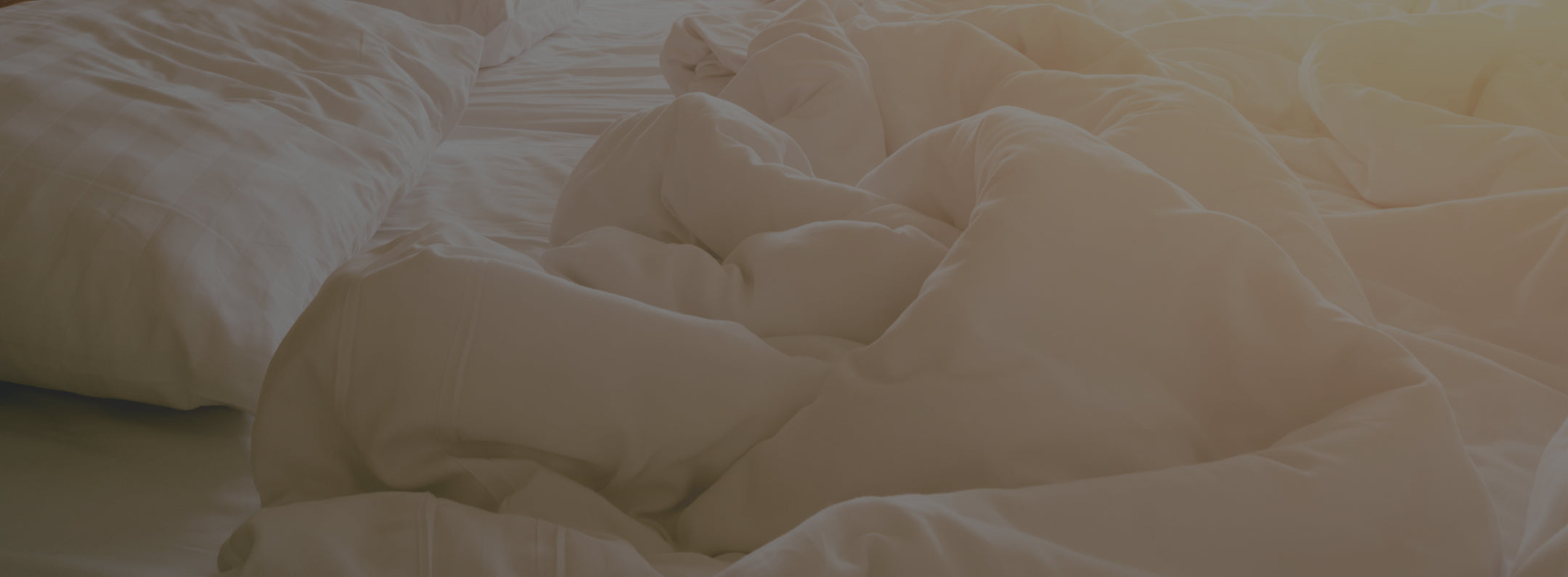 Spinaleze Australia's Best Pillows, Pillow Cases & Bedding